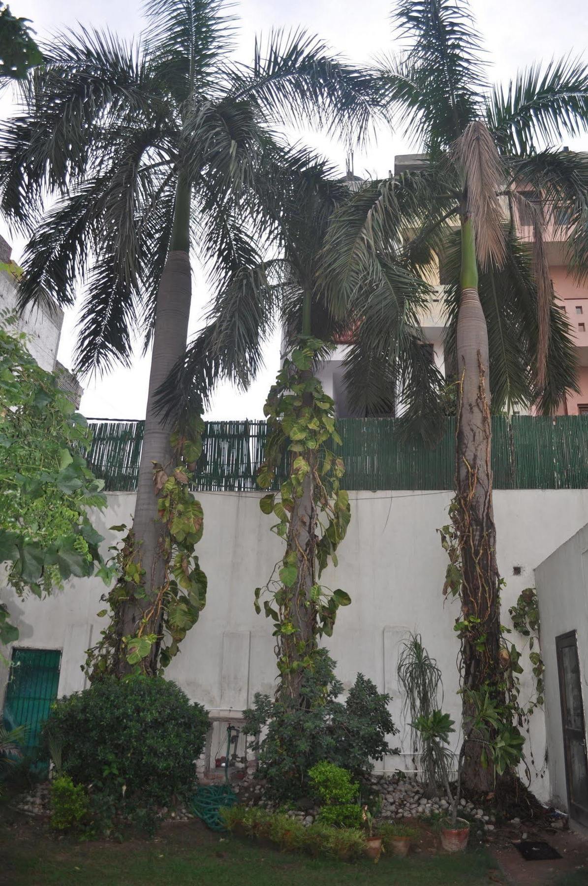 Hotel Kabli New Delhi Exterior foto
