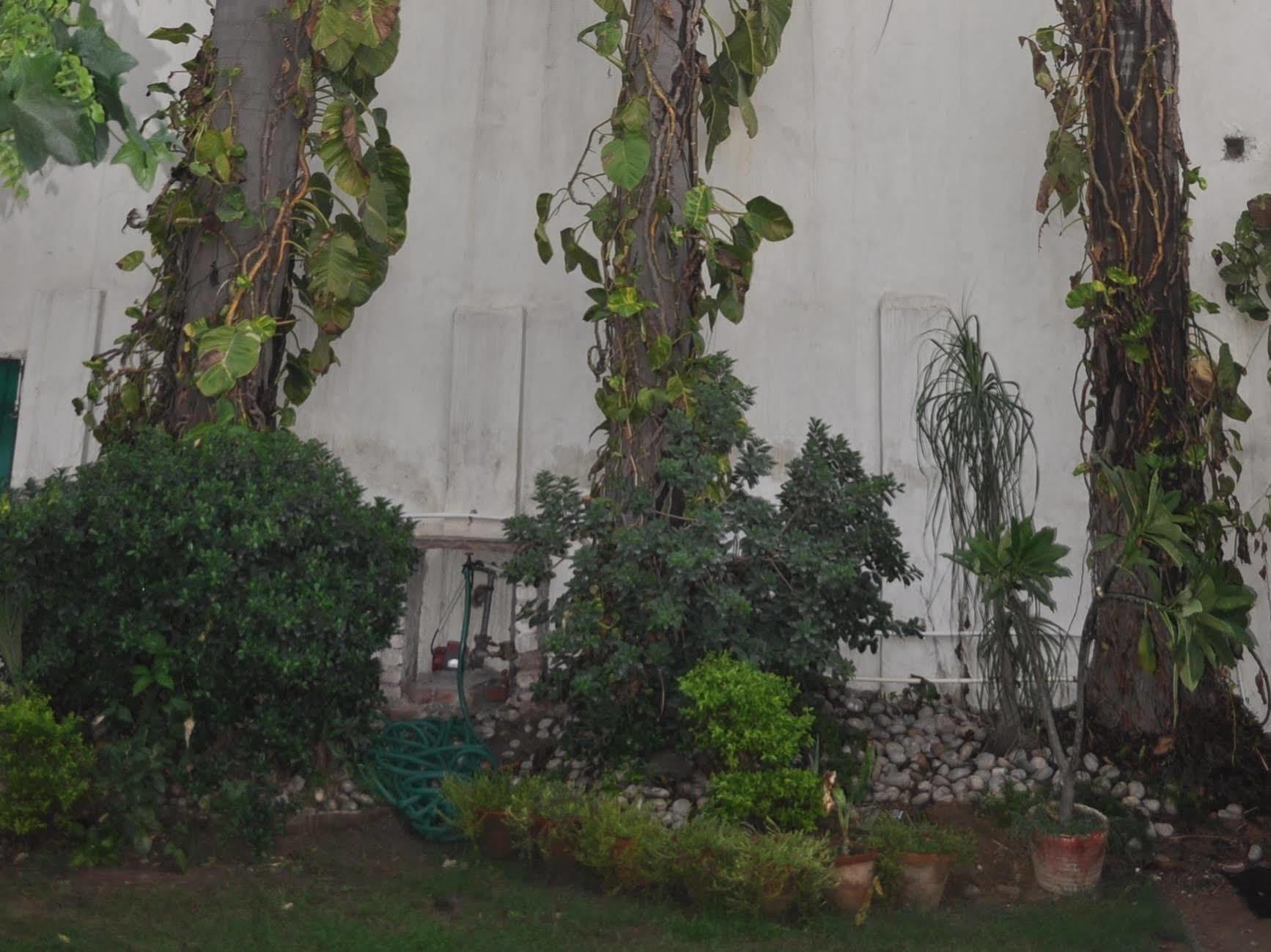 Hotel Kabli New Delhi Exterior foto